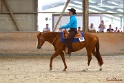 32-APHA AWHS_011